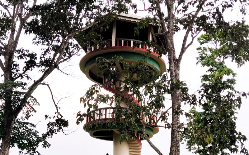 Medhla Watch Tower